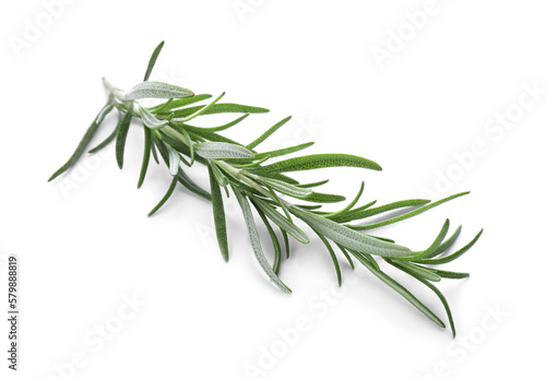 Fresh green rosemary isolated on white. Aromatic herb © New Africa
