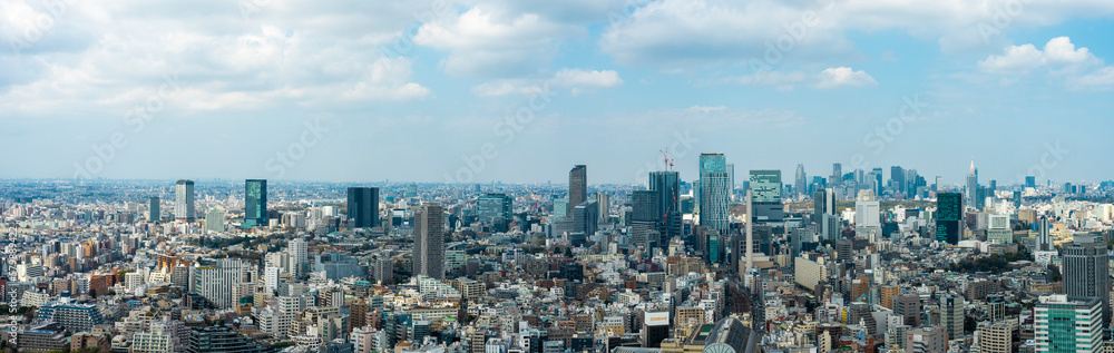 東京のパノラマ風景