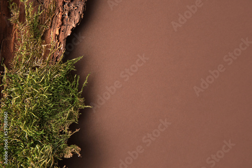 Foto Tree bark piece with moss on brown background, top view