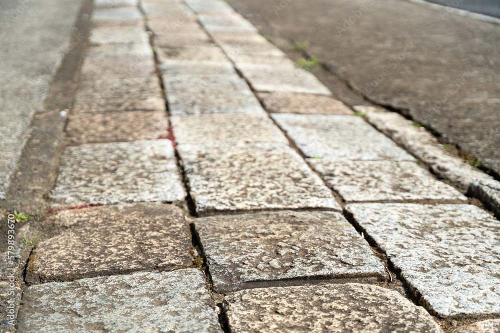 Obraz premium 石畳の参道