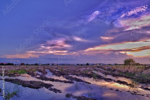  Asia's rice farm with car tracks, evening atmosphere at sunset © Kun