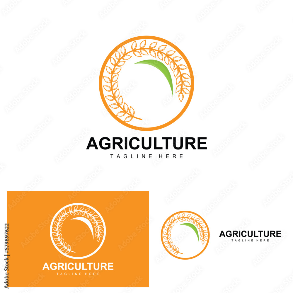 Rice Logo, Agriculture Design, Vector Wheat Rice Icon Template Illustration Rice Logo, Agriculture Design, Vector Wheat Rice Icon Template Illustration