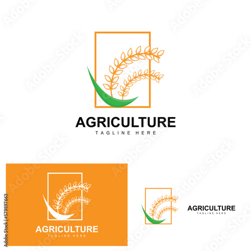 Rice Logo, Agriculture Design, Vector Wheat Rice Icon Template Illustration