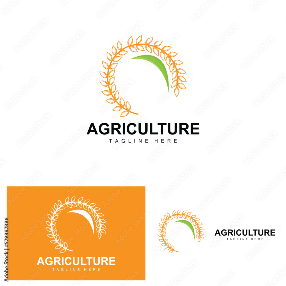 Fototapeta premium Rice Logo, Agriculture Design, Vector Wheat Rice Icon Template Illustration