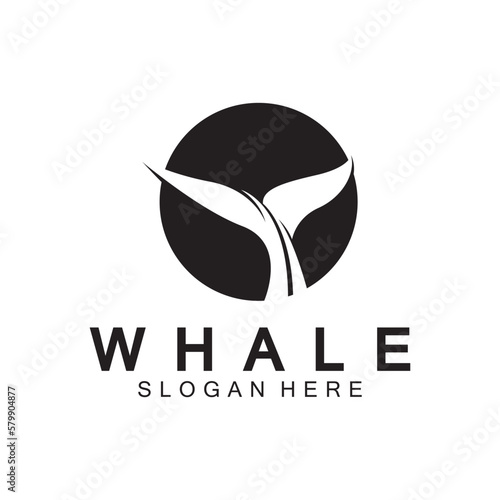  whale tail logo vector illustration design. Whale tail graphic icon