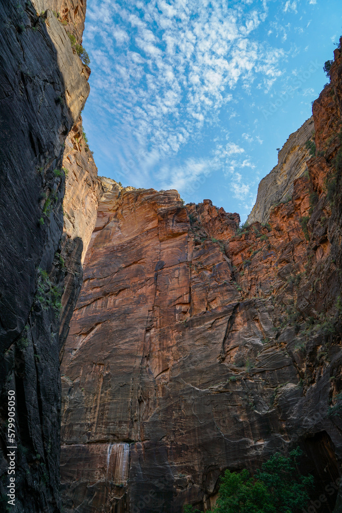 The Narrows in Zion National Park on a beautiful summer afternoon in Springdale, Utah