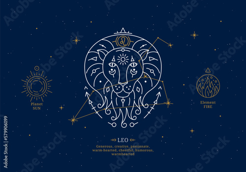 Leo zodiac sign with description of personal features. Astrology horoscope card with zodiac constellation on dark blue sky thin line vector illustration