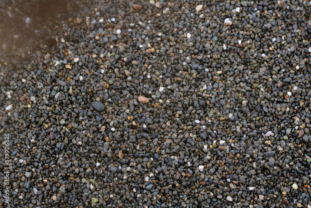 seed background seed background