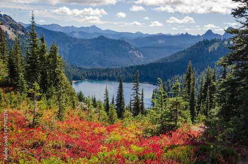 mt rainier national park photo