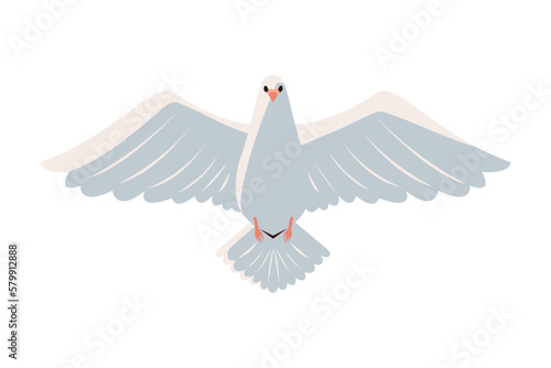white dove icon