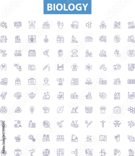 Biology line icons, signs set. Organism, Cell, Genetics, Evolution, Ecology, Biochemistry, Microbiology, Photosynthesis, Mitosis outline vector illustrations.