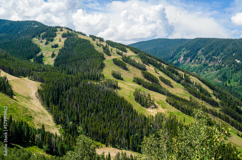 Fototapeta Naklejka Na Ścianę i Meble -  Beaver Creek ski trails during the summer in Avon, CO, USA.