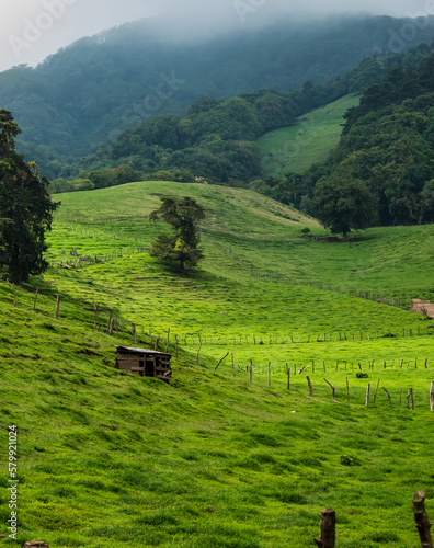 rice terraces