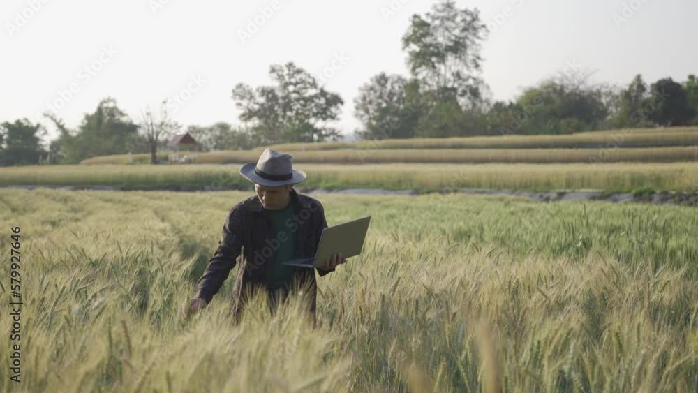 Young male farmer using tablet and laptop to analyze barley field and agricultural products for research. Young male farmer using tablet and laptop to analyze barley field and agricultural products for research.