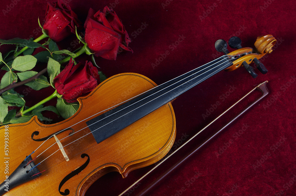 Fototapeta premium Violin, bow and three red roses on a red background.