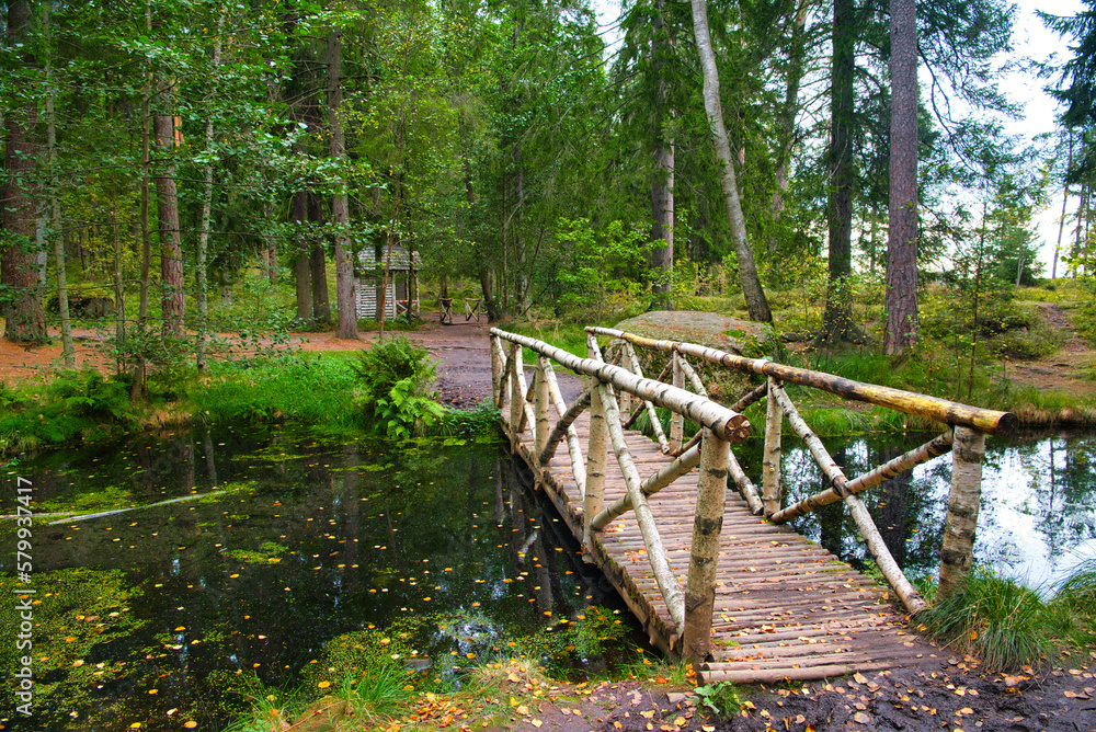 Obraz premium Birch small bridge in the forest, Park Mon Repos, Vyborg, Russia