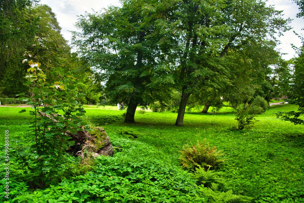 Fototapeta premium Green meadow and trees in Park Mon Repos, Vyborg, Russia
