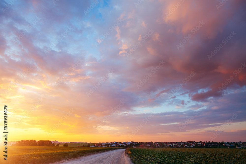 A picturesque pattern of colored clouds in the sky above a rapeseed field at sunset. A picturesque pattern of colored clouds in the sky above a rapeseed field at sunset.
