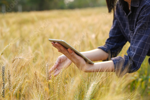 Farmer man with digital tablet working on farm agricultural concept work in the rice fields