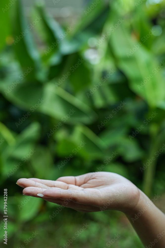 Technology, Hands holding globe of tropical nature summer background, Technology, Hands holding globe of tropical nature summer background,