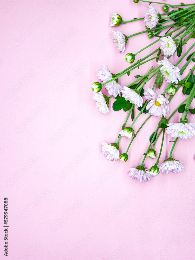 Flowers composition. Frame made of pink flowers on pink background. Flat lay, top view, copy space