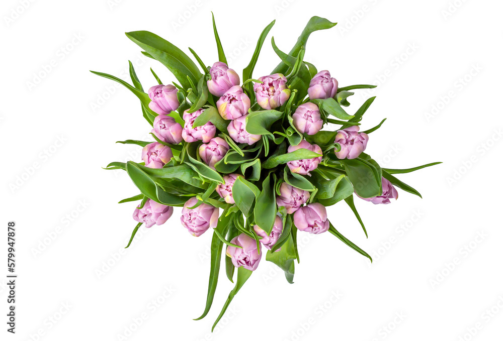 Bouquet of tulips isolated on white. Top view. Bouquet of tulips isolated on white. Top view.
