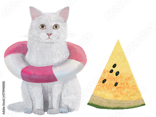 猫と黄すいか白背景_横