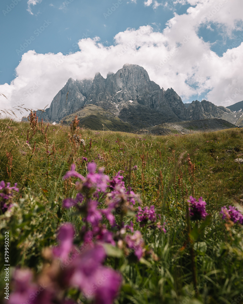 Fototapeta premium Chaukhi Pass Peaks, summer day, Georgia