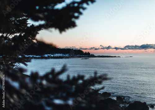 Dawn along the rocky new england coast in winter, Cutler, Maine