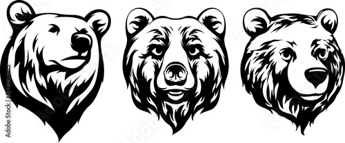 Head of bear. Abstract character illustration variant set. Graphic logo design template for emblem. Image of portrait.