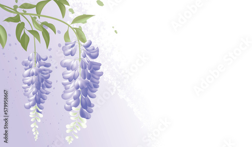 Hand-drawn vector illustration of spring blooming wisteria flowers