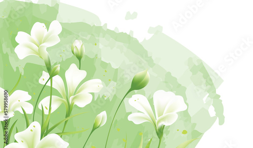 Hand-painted vector illustration of small green spring flowers