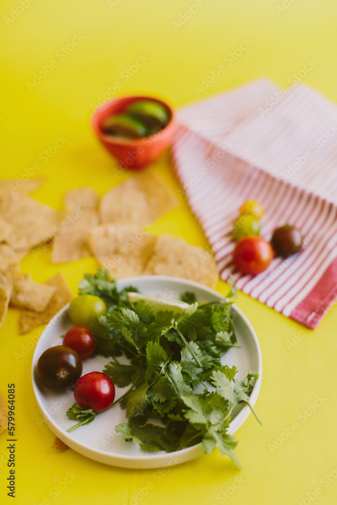 High angle view of fresh salsa ingredients on yellow background High angle view of fresh salsa ingredients on yellow background