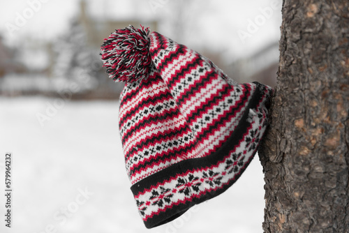 Close-up of knit hat hanging on tree trunk during winter photo