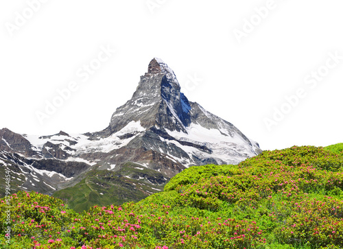 Mount Matterhorn with blooming azalea isolated on transparent background, PNG. Mountain landscape in the Pennine Alps, Switzerland.