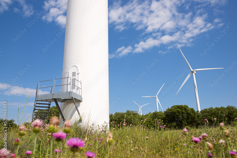 Windmills on grassy field against blue sky during sunny day Windmills on grassy field against blue sky during sunny day
