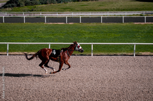 horse and rider jumping. horse racing on a track