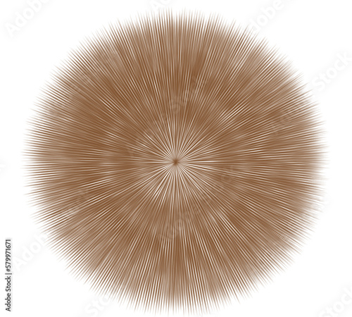 Abstract rays. Circle Shape Spikes. Brown Spore Prickle
