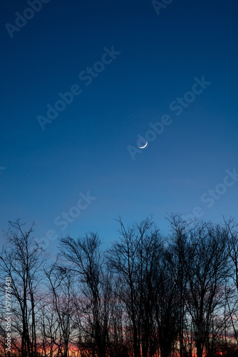 Planets in conjunction with young Moon above tree countryside silhouettes.