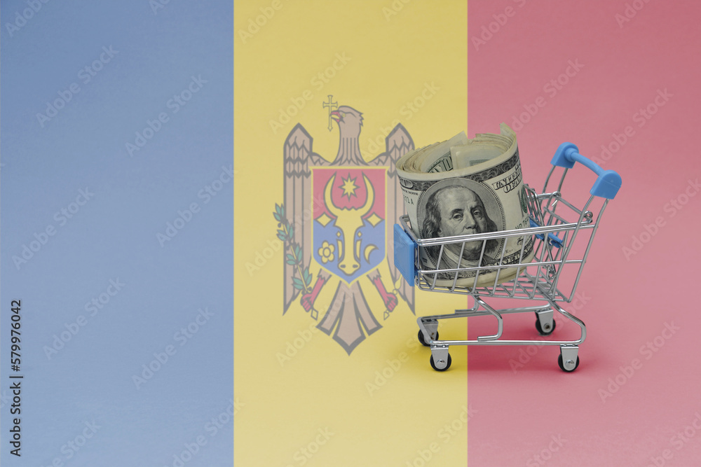 Metal shopping basket with dollar money banknote on the national flag ...