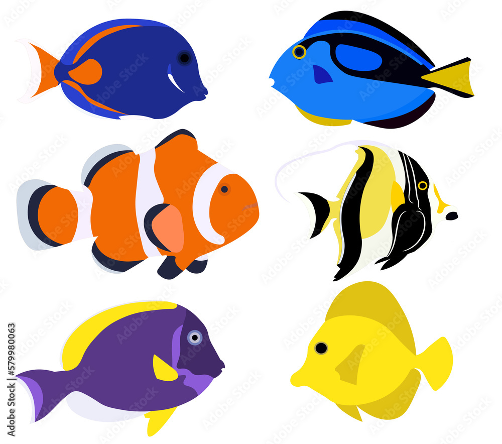 Aquarium fish Aquarium fish