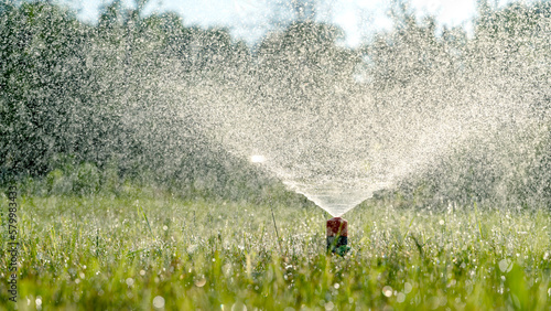 automatic lawn watering in the sun