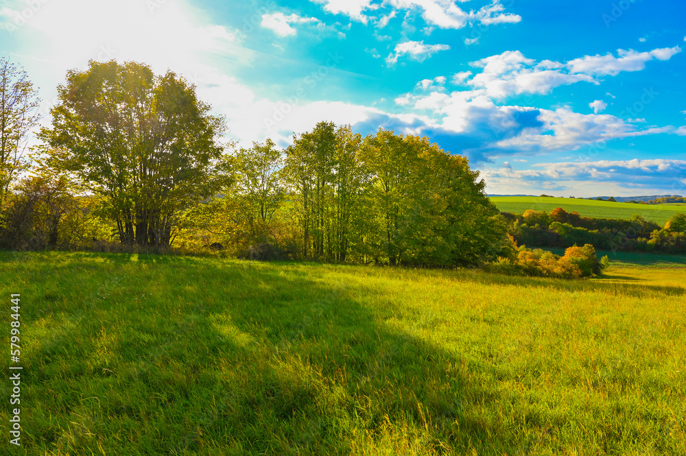 Naklejka premium Beautiful landscape in nature - Czech Republic. Sun sky and green trees with grass at sunset.