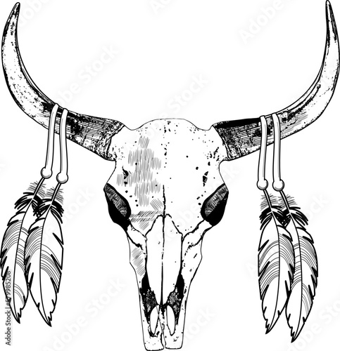Indianischer Schädel mit Federn, Kuhschädel, Tierschädel mit Federn, Buffalo-Schädel mit Federn einzeln auf weißem Hintergrund
