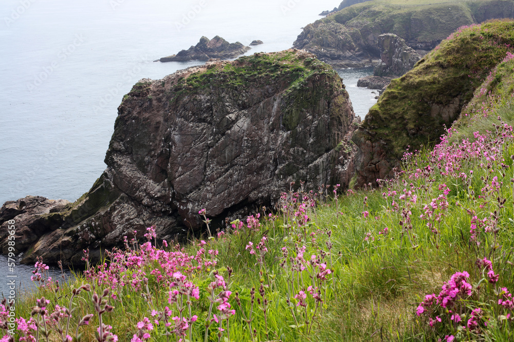 Coastal path between Peterhead, Boddam, Bullers of Buchan and Cruden bay - Aberdeenshire - Scotland - UK