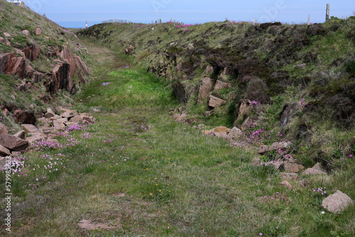 Coastal path between Peterhead, Boddam, Bullers of Buchan and Cruden bay - Aberdeenshire - Scotland - UK photo