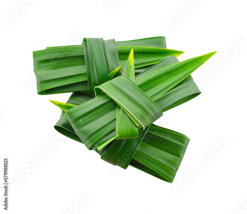 Fresh pandan leaf knot isolated on transparent png photo