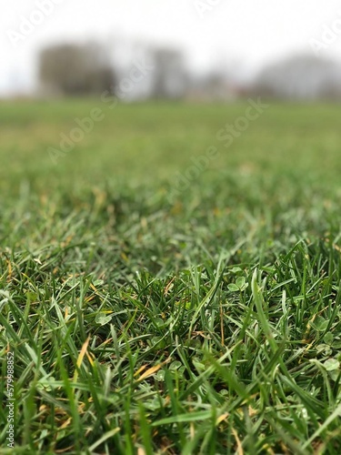Open field for training.