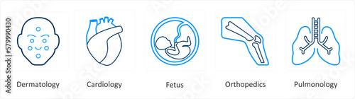 A set of 6 Medical icons as dermatology, cardiology, fetus