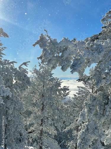 landscape with snow